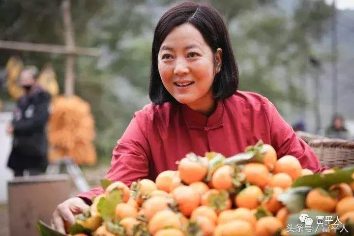 陕西富平柿柿红,岁岁年年柿柿红最新