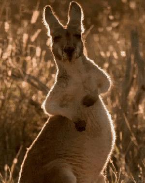 艾滋病可怕吗,艾滋病真的特别容易传染吗