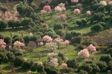 比较省钱的旅游方法,一个最省钱的旅游方法