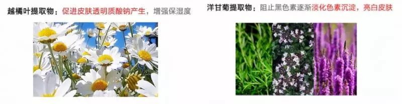 女生最需要保养的部位,适合女性的保养部位