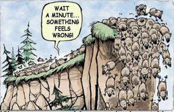 投资心理学的十大陷阱,羊群效应在投资心理学中的含义