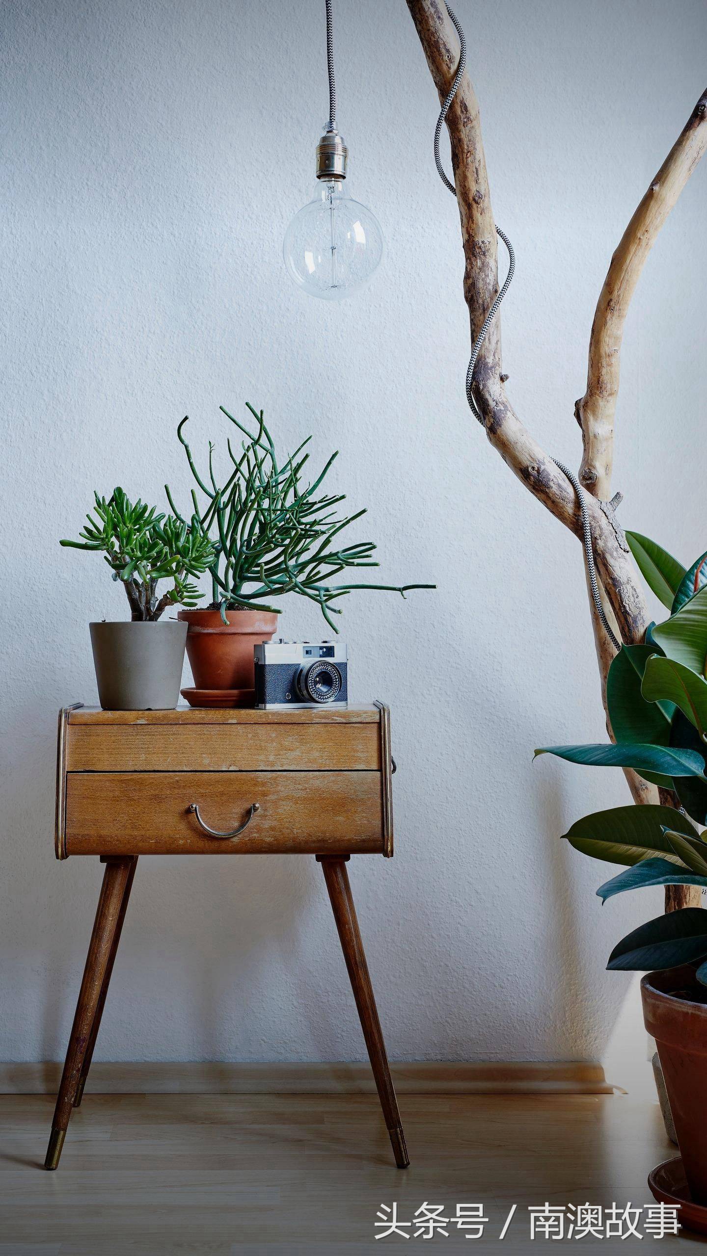 潮州话字典在线发音手机版,潮州话和潮汕话