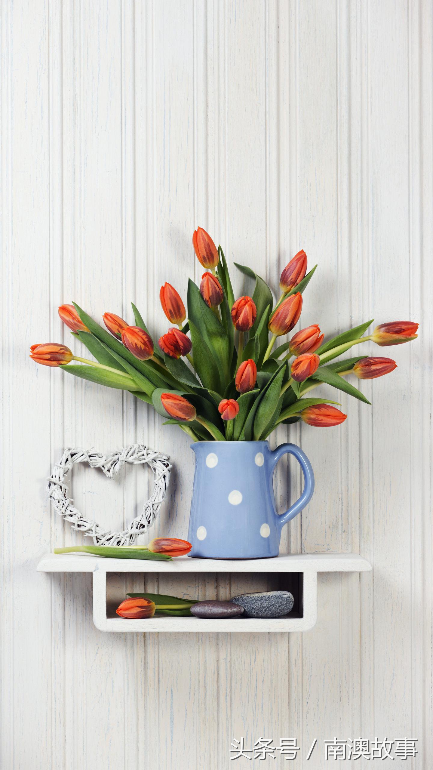 潮州话字典在线发音手机版,潮州话和潮汕话