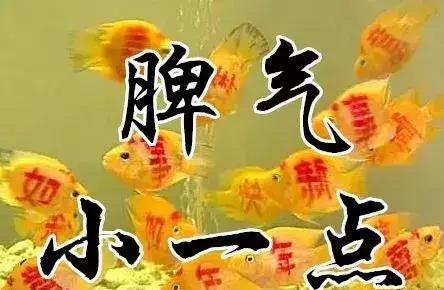 知足常乐每天都要保持开心的状态,知足常乐开心过好每一天