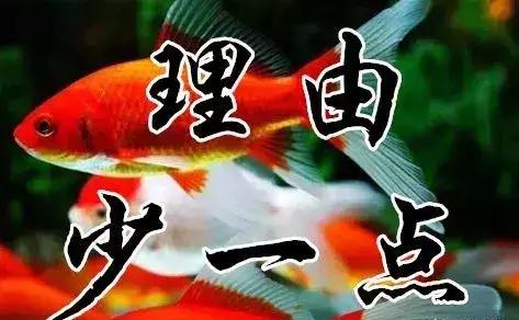 知足常乐每天都要保持开心的状态,知足常乐开心过好每一天