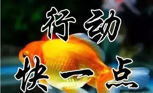 知足常乐每天都要保持开心的状态,知足常乐开心过好每一天