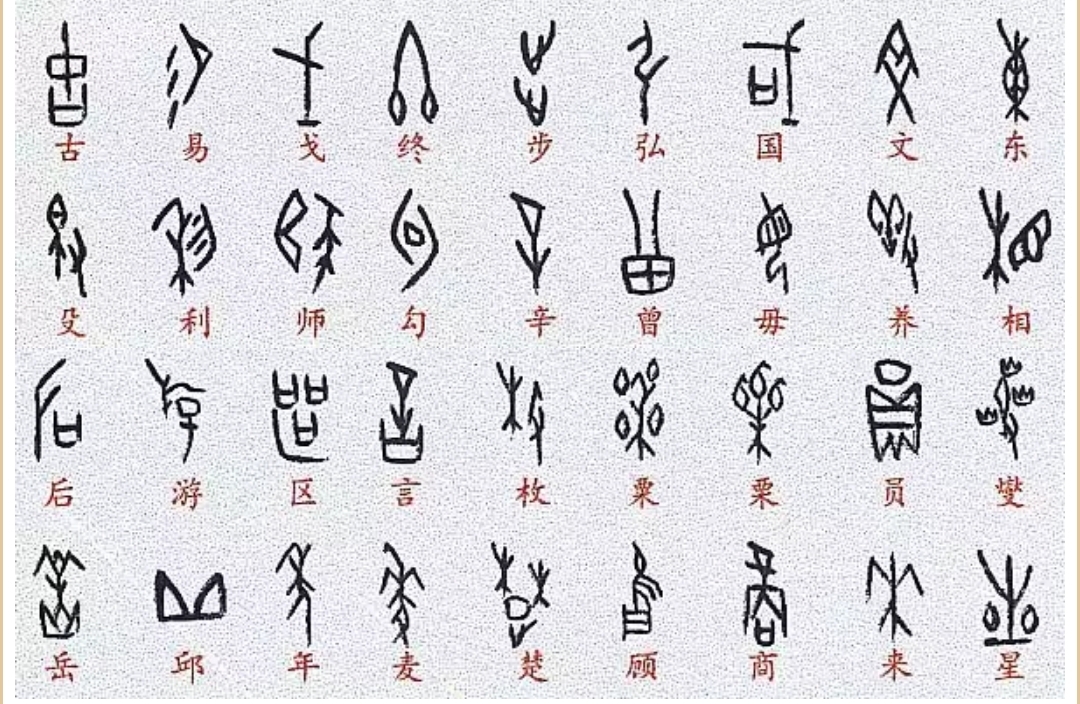甲骨文和楷书对照表高清,甲骨文与其他文字对照表