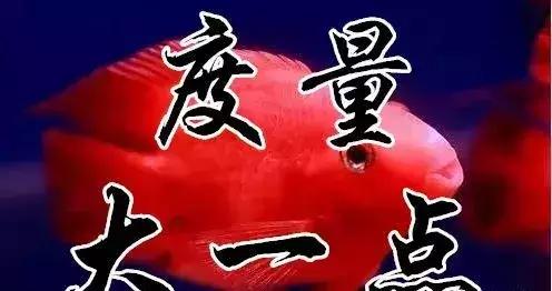 知足常乐每天都要保持开心的状态,知足常乐开心过好每一天