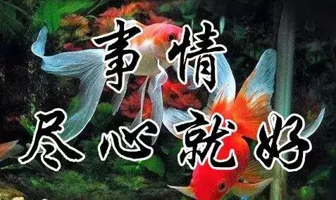 知足常乐每天都要保持开心的状态,知足常乐开心过好每一天