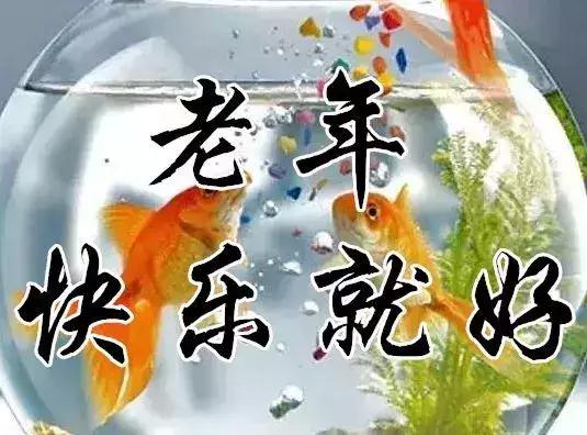 知足常乐每天都要保持开心的状态,知足常乐开心过好每一天