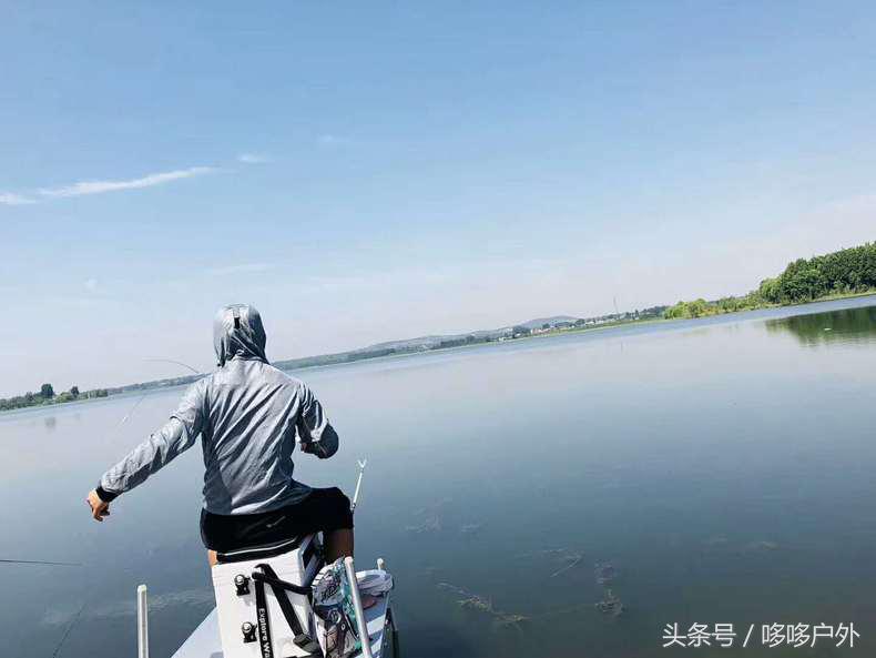 5-10斤鱼主线子线搭配,夏季主线和子线搭配一览表