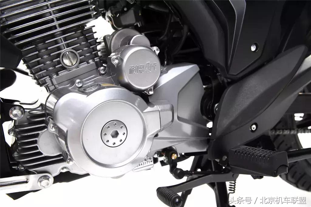 新钱江龙评测视频,老钱江龙