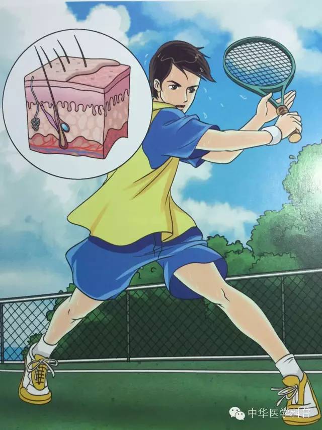 中暑急救常识大全,猫咪中暑的急救常识