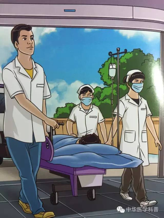 中暑急救常识大全,猫咪中暑的急救常识