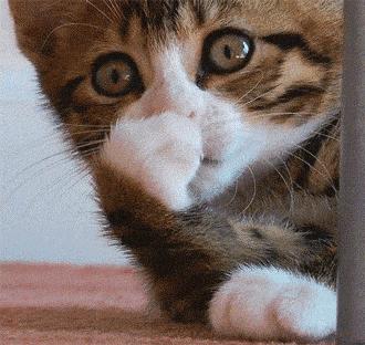 2万的编织袋?4千的塑料鞋?难道真是贫穷限制了我的审美?