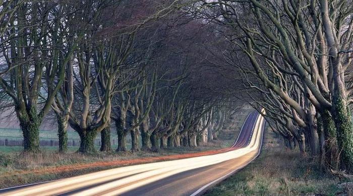 如何让一张照片有高级感更清晰,为什么你拍的图片很平