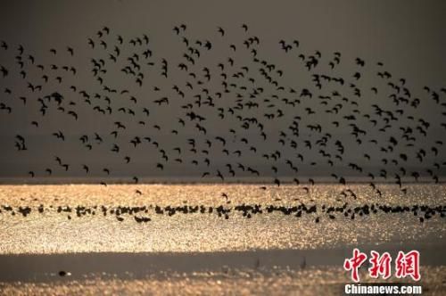 洞庭“活水”畅通衢一湖净水汇长江