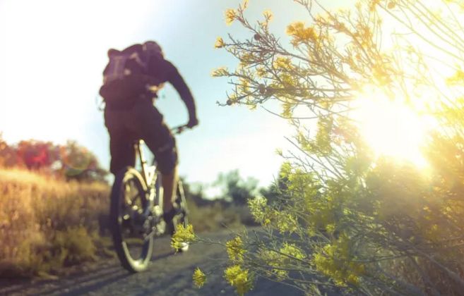 2008年最值得怀念的一年,2008年为什么让我们如此难忘