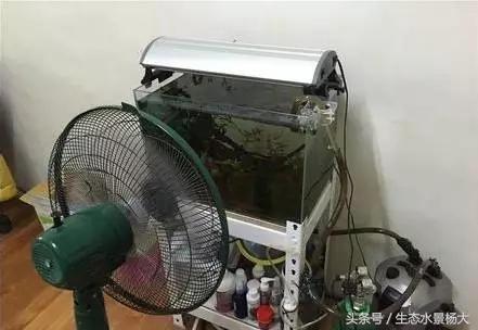 热天鱼缸闷热怎么降温,夏天鱼缸太热鱼生病怎么办