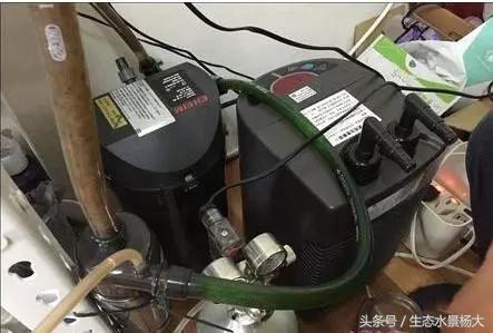 热天鱼缸闷热怎么降温,夏天鱼缸太热鱼生病怎么办