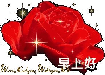 漂亮鲜花动态早上好表情图片,早上好最美的玫瑰花动态表情包