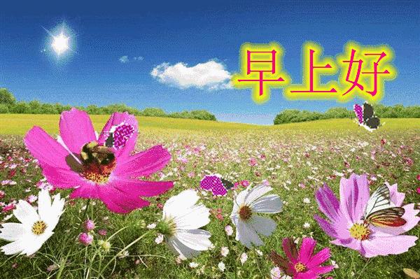 漂亮鲜花动态早上好表情图片,早上好最美的玫瑰花动态表情包