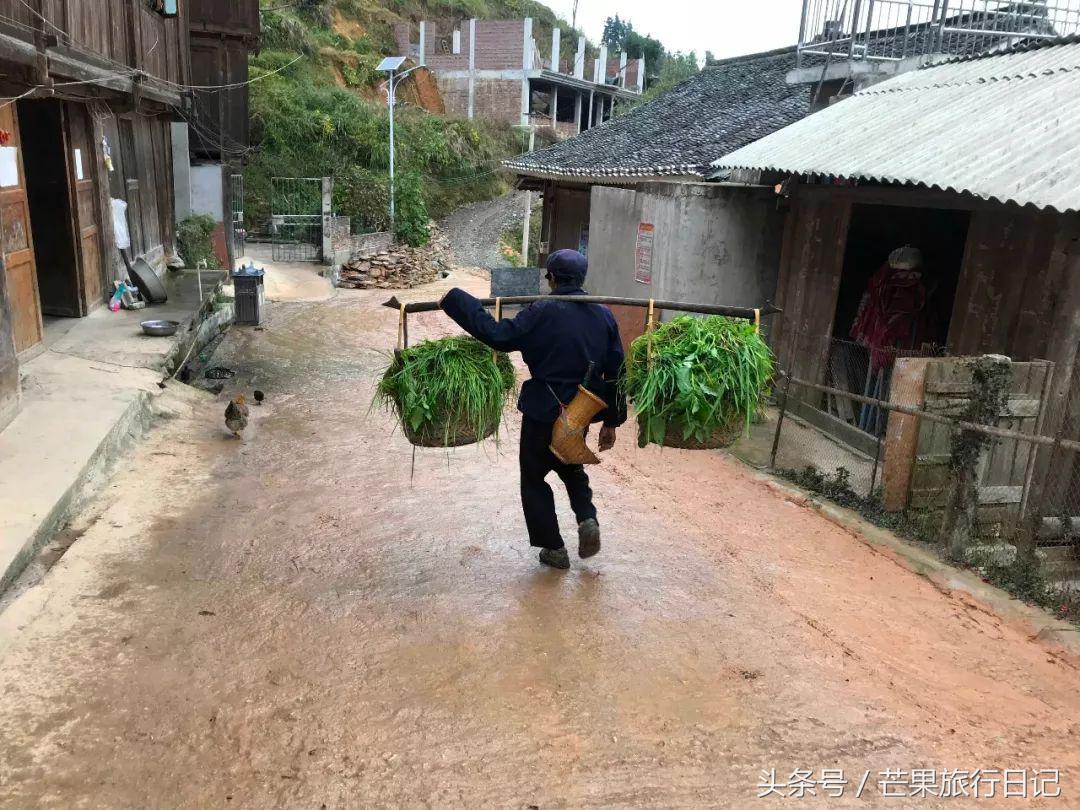 云南出发去贵州旅游攻略,云南旅游门票攻略自助游三日游