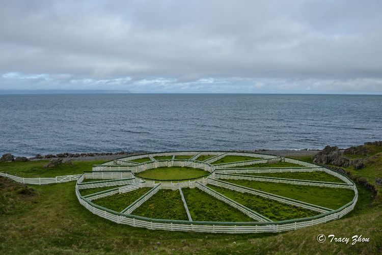 冰岛之行,千姿百态的冰岛行