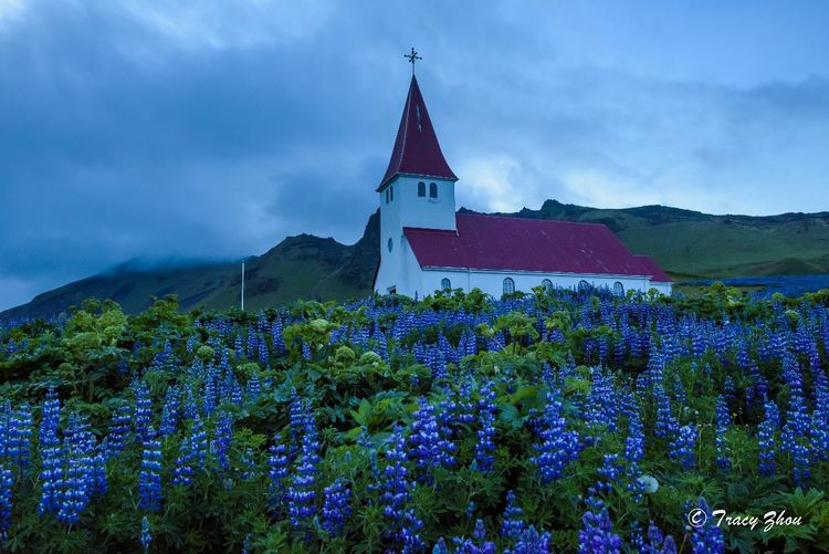 冰岛之行,千姿百态的冰岛行