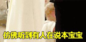 乔治王子短裤款式,乔治小王子短裤品牌