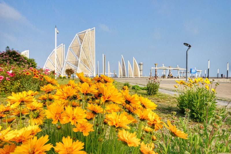 日照旅游攻略日照有山有海有海鲜,日照吴家台大海渔家