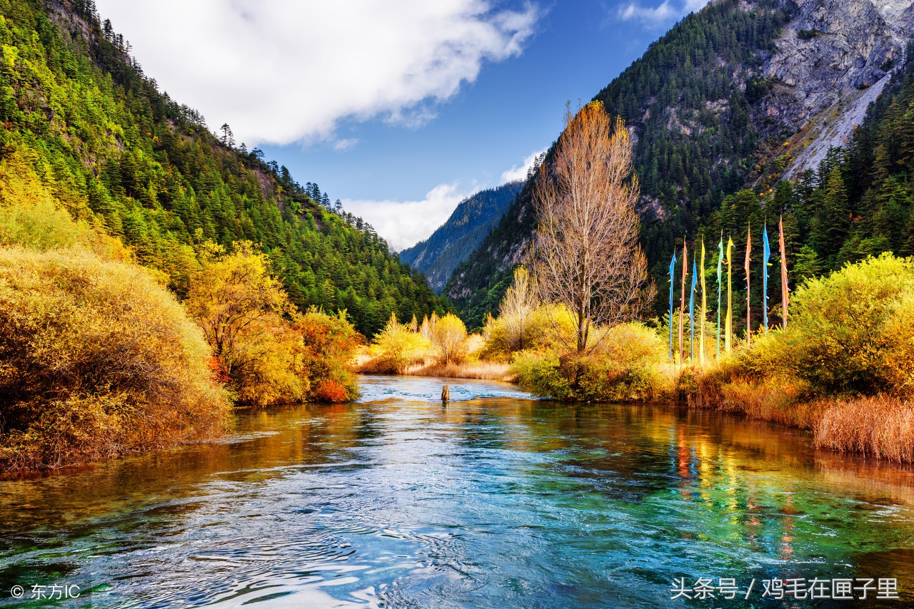 带孩子去旅游吃喝,带孩子旅游吃喝玩乐