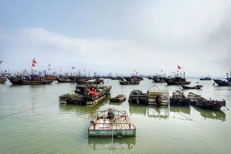 日照旅游攻略日照有山有海有海鲜,日照吴家台大海渔家