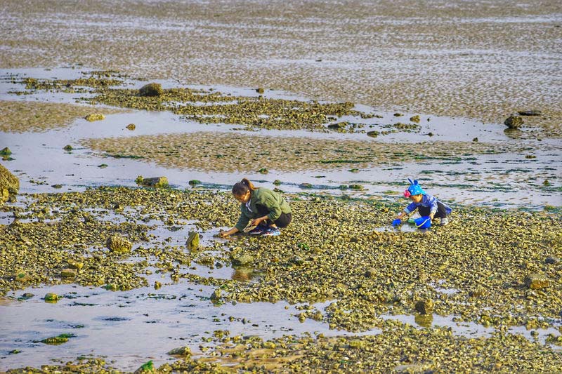 日照旅游攻略日照有山有海有海鲜,日照吴家台大海渔家