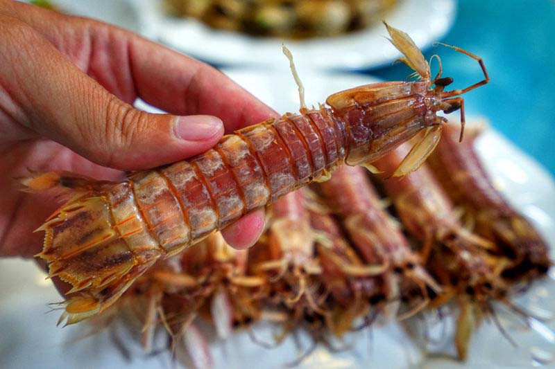 日照旅游攻略日照有山有海有海鲜,日照吴家台大海渔家