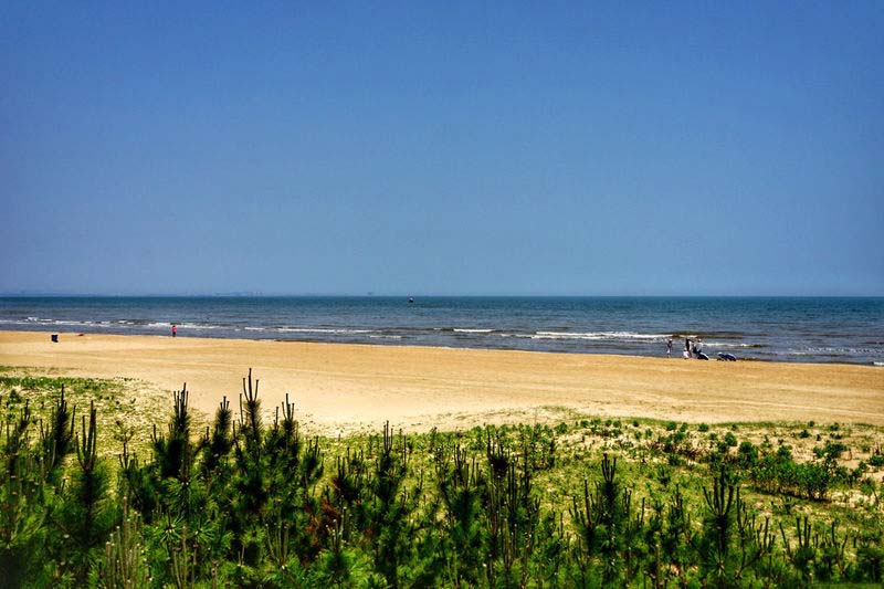 日照旅游攻略日照有山有海有海鲜,日照吴家台大海渔家