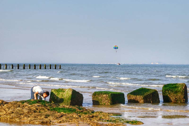 日照旅游攻略日照有山有海有海鲜,日照吴家台大海渔家