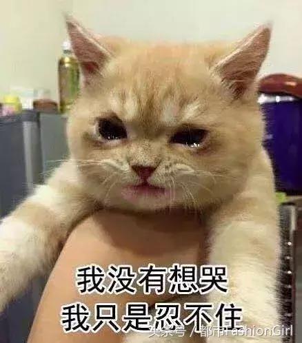 阚清子的青春虽喂了狗,却因推荐的化妆品太好用一夜圈粉百万!