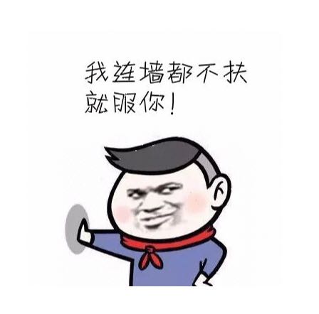 碧桂园设计师的名单,碧桂园平面设计师做什么的
