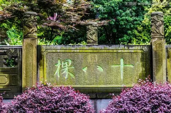 中国最牛的10大茶叶价格排行,盘点那些贵到离谱的茶叶