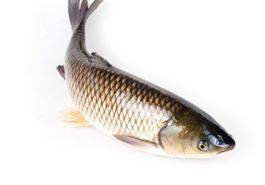 孕期补锌最快最有效的方法,孕期补锌最好的食物