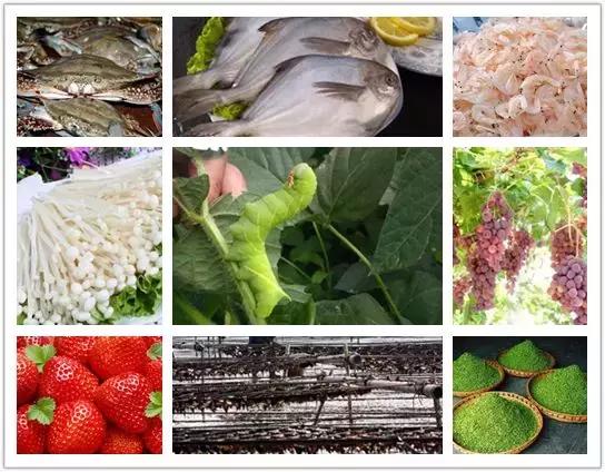 连云港特产排行榜前十名,连云港最全特产