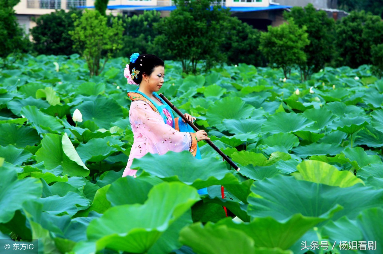 巳时出生十二生肖女孩命运,自带富贵命三生肖女