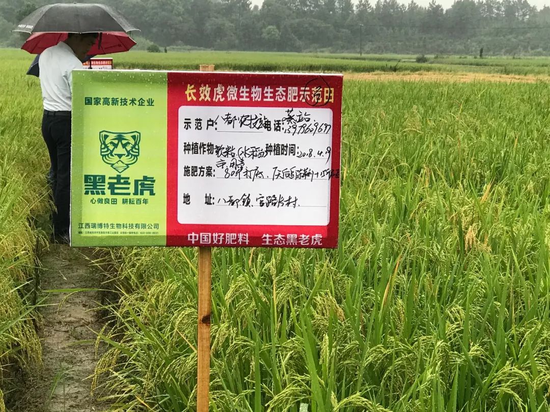 撒施一次,坐拥丰收——“黑老虎”系列之“长效虎”虎虎生威