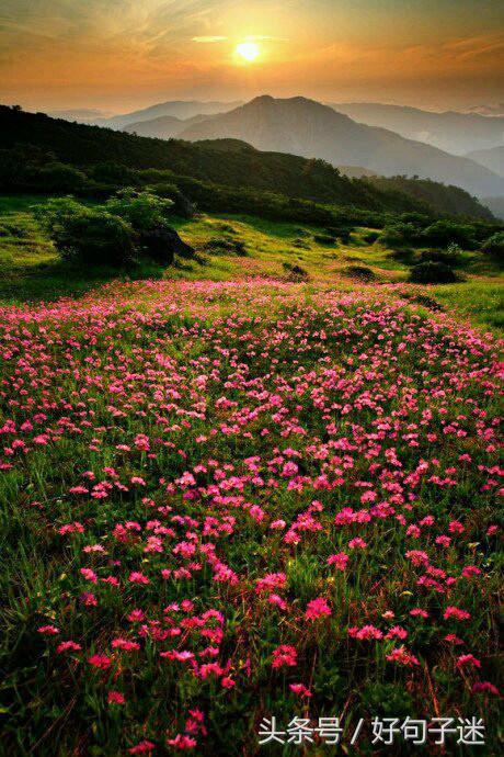 忏悔录卢梭翻译本,卢梭忏悔录著名语录