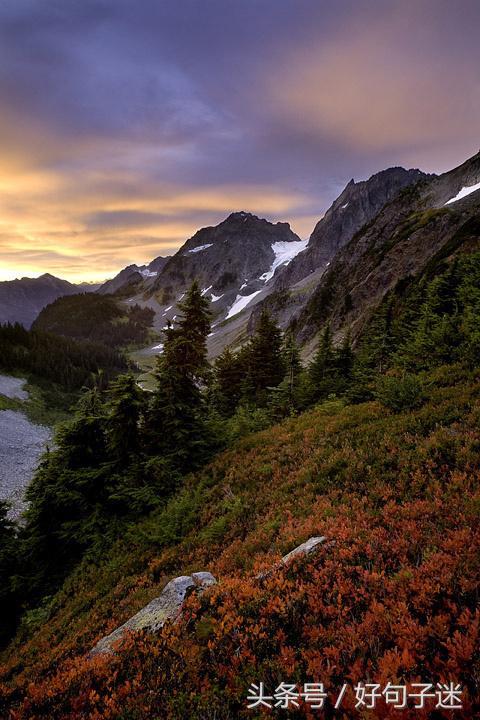 忏悔录卢梭翻译本,卢梭忏悔录著名语录