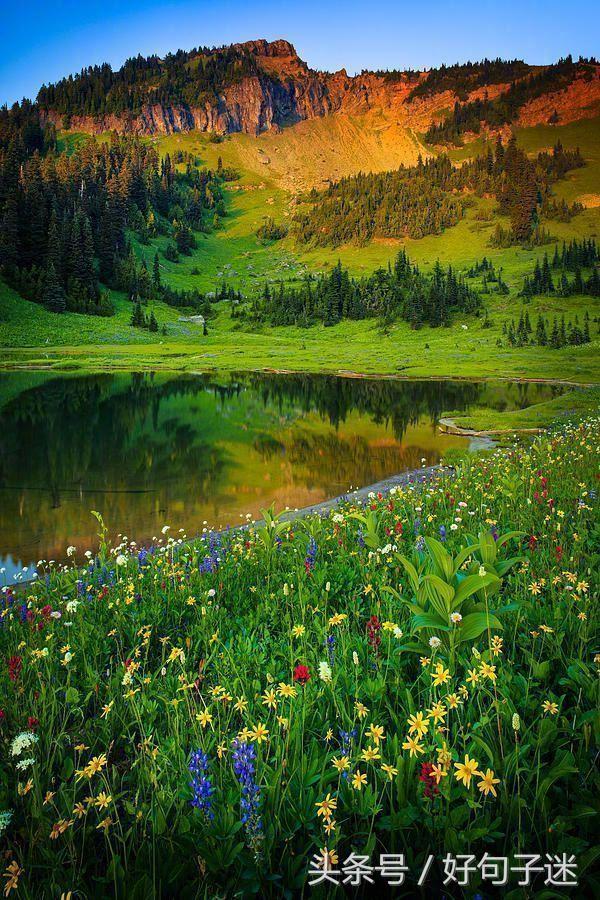 忏悔录卢梭翻译本,卢梭忏悔录著名语录