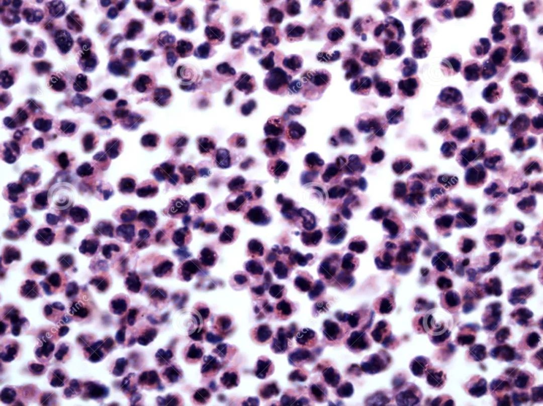 我不是药神讲述了什么道理,我不是药神的真实原因