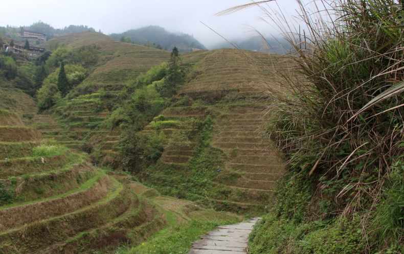 世界奇观龙脊梯田视频,龙脊梯田世界