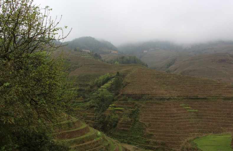 世界奇观龙脊梯田视频,龙脊梯田世界